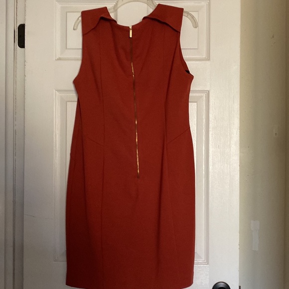 Adrienne Vittadini sz 14 Sleeveless dress, long zipper exposed in back - Picture 6 of 7